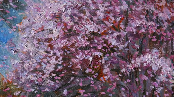 Almond Trees in Bloom