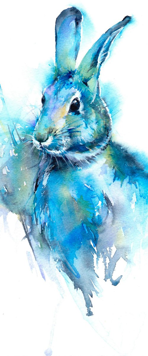 Blue Cottontail by Anjana Cawdell