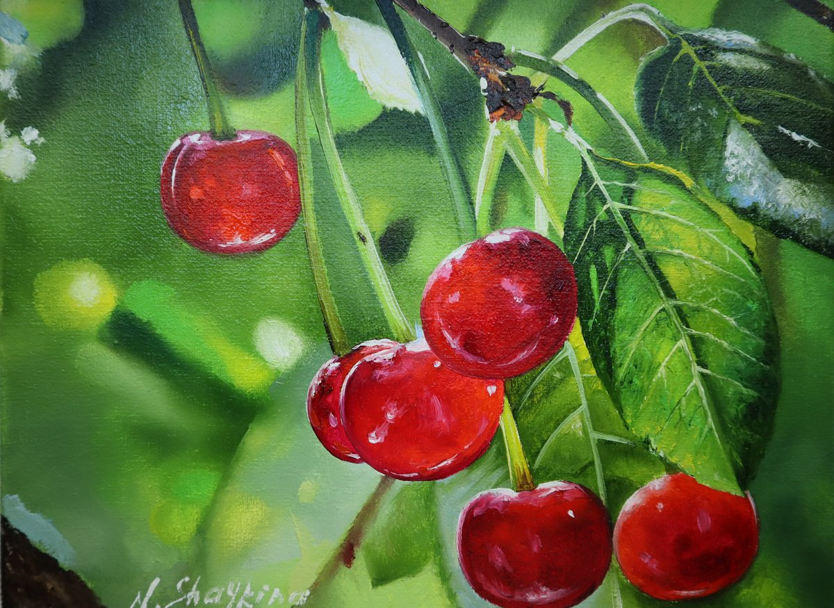 Red Cherries, Garden Scene by Natalia Shaykina