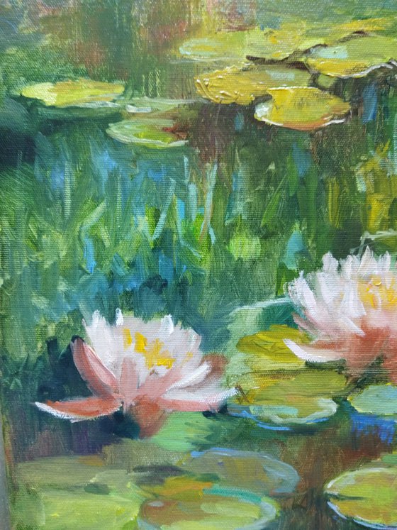 Water Lilies 60x40cm
