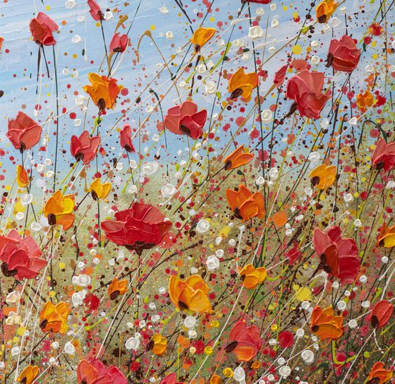 Sunlit poppies - Wildflower Meadow Painting