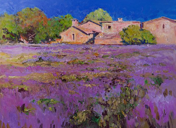 French Village. Lavender