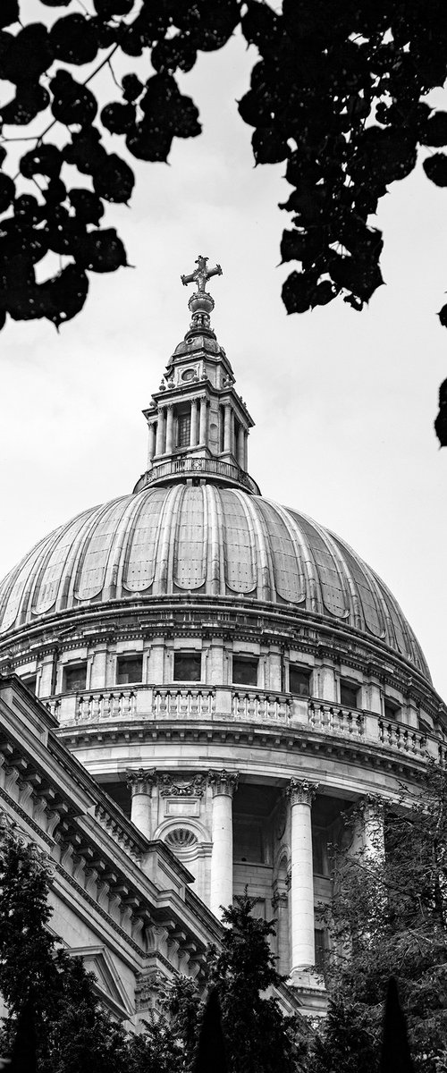 Natural framing : St Pauls Cathedral NO: 2 B&W   1/20 16"X 24" by Laura Fitzpatrick