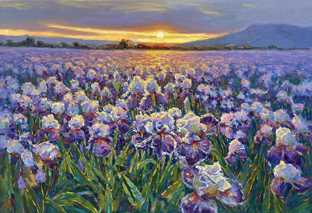 Field Of Flowers By Evgeny Chernyakovsky, 43 X 30, Artwork For Sale On Artfinder