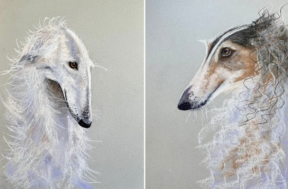Dog Portraits Soft Pastel