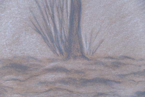 Minimal tree branches