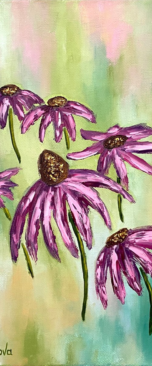 Pink coneflowers by Olga Kurbanova