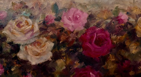 Antique Roses