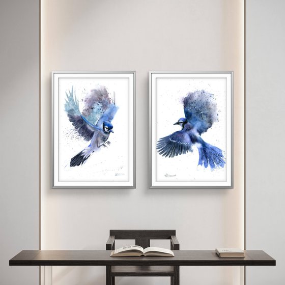 Blue Jay in Flight - Diptych
