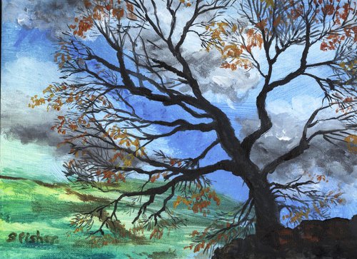 autumn tree in the dales by Sandra Fisher