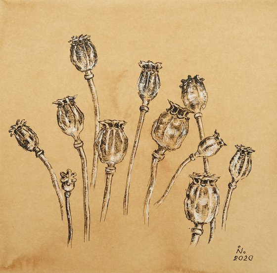 Poppy Pods