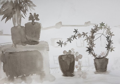 Plants in pots by Irina Seller