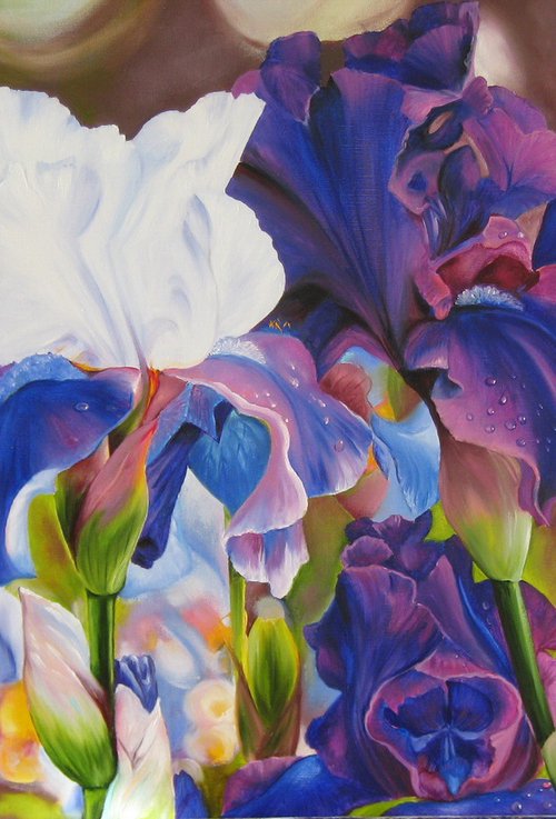 White and Purple Irises by Natalia Shaykina