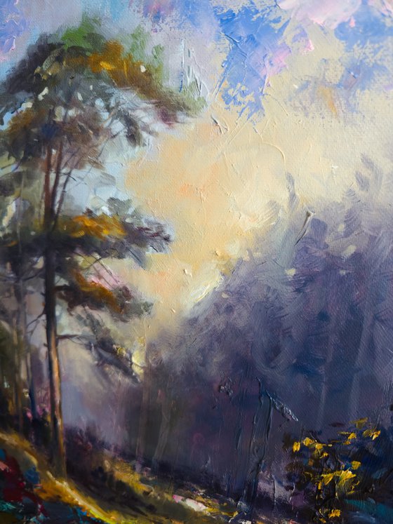 Forest Light Sequence