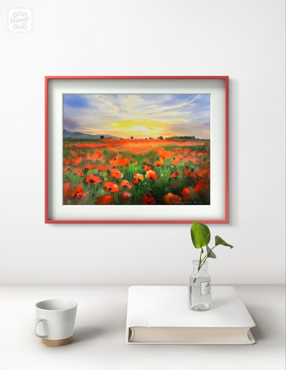 Poppy field at sunset