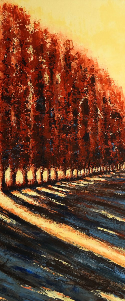 Bright Day  II-  Fields and Colors Series by Danijela Dan