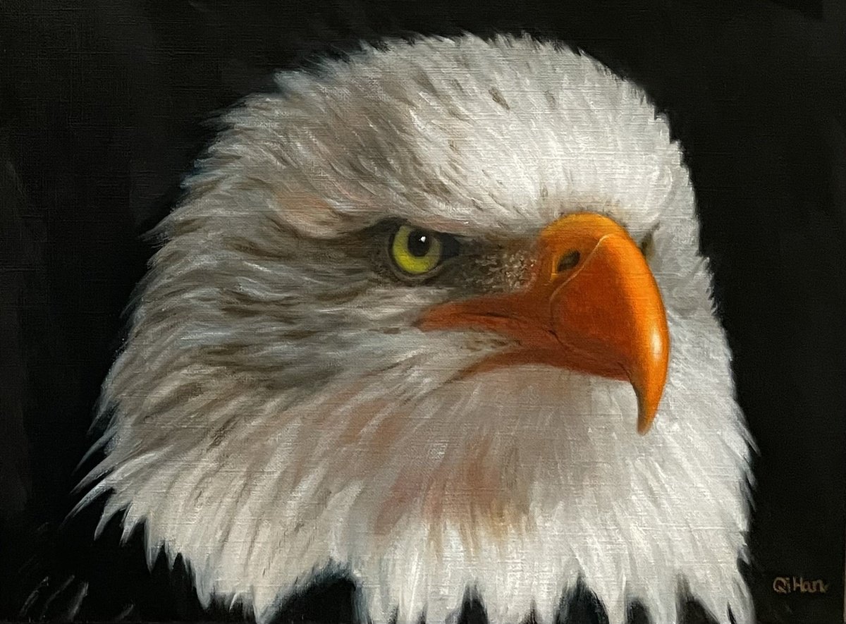 Photorealistic Animal Oil Painting By Qi Han, 12 X 9", Majestic Gaze, Original Artwork