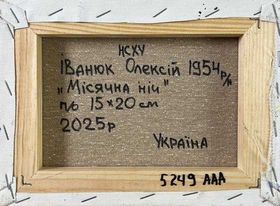 Moonlit night in the village