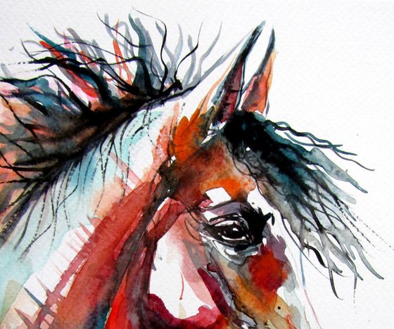 Horse portrait IV