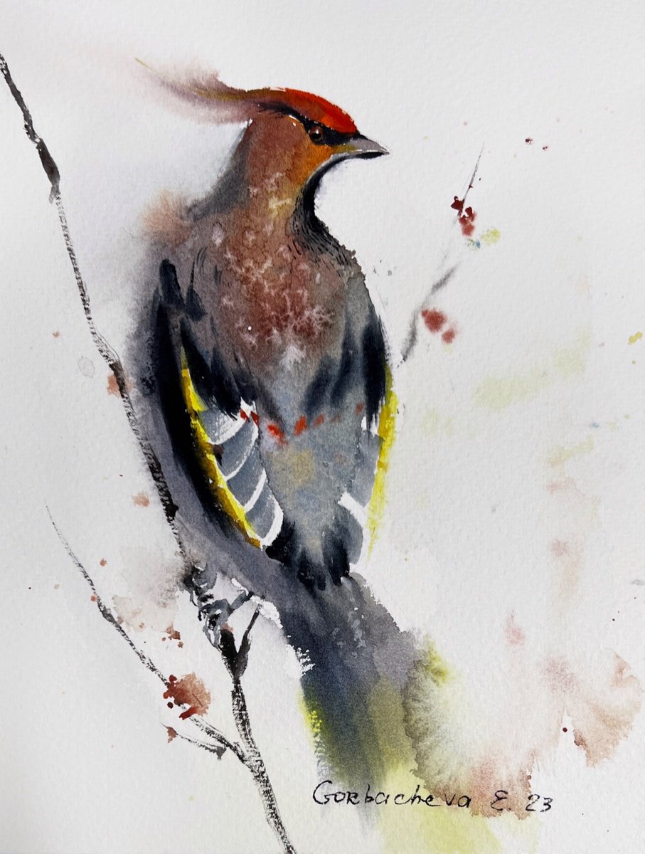 Impressionistic Animal Watercolour By Eugenia Gorbacheva, 6 X 8, Waxwing Bird, Original Artwork