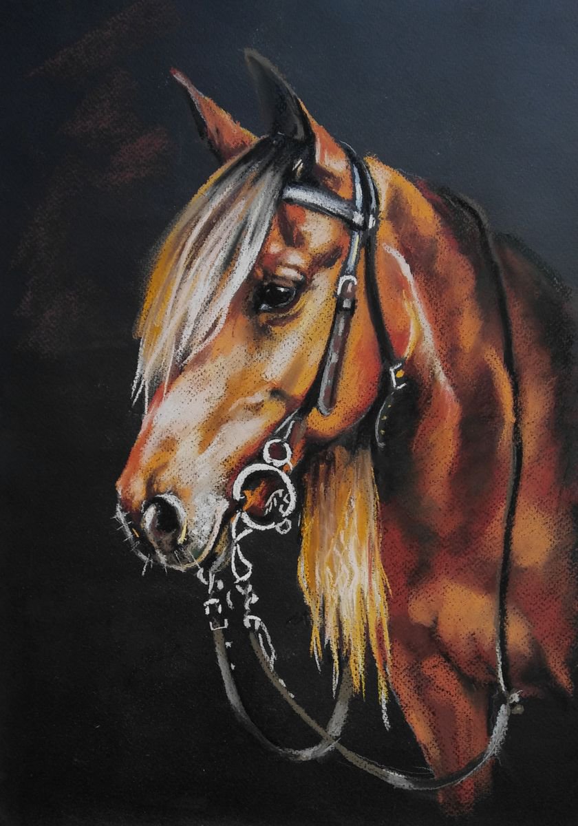 Quarter Horse Painting by Magdalena Palega | Artfinder