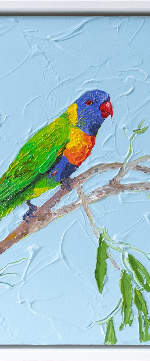 Rainbow Lorikeet by Joseph Villanueva