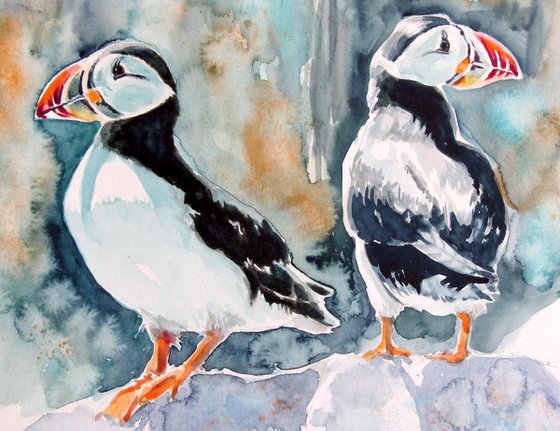 Puffin collection