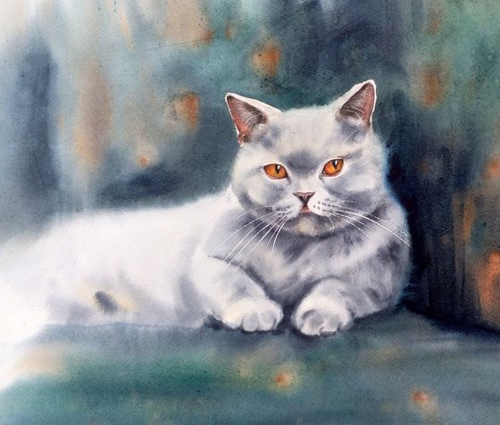 Sunday mood - commission art - British Blue Cat watercolor
