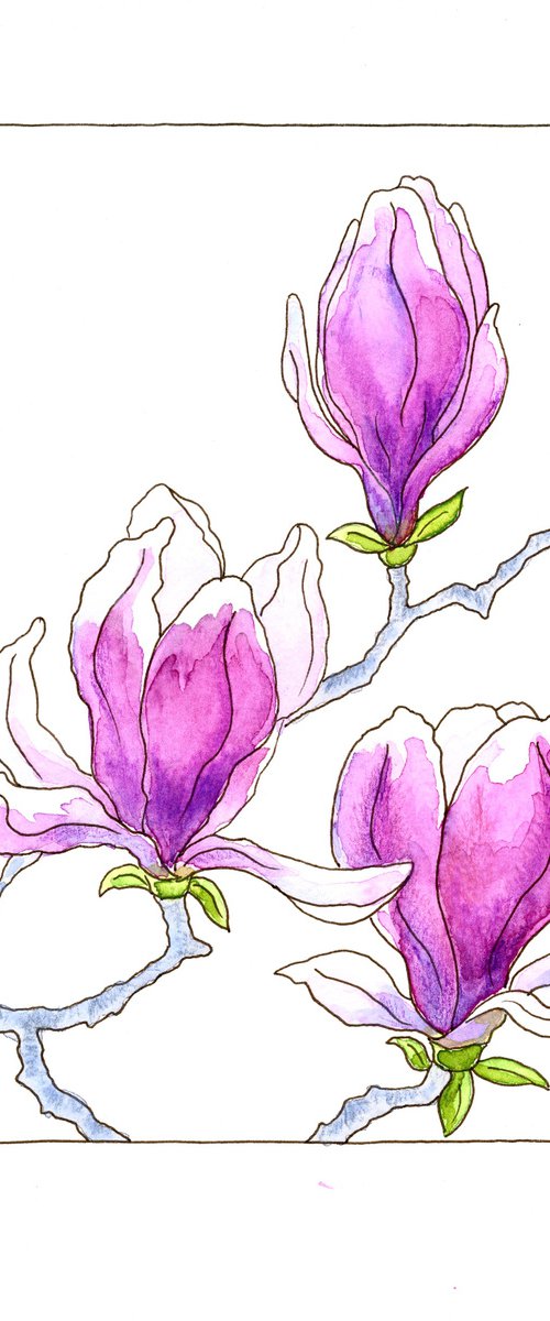 Flowers of a magnolia mixed media illustration by Olga Ivanova
