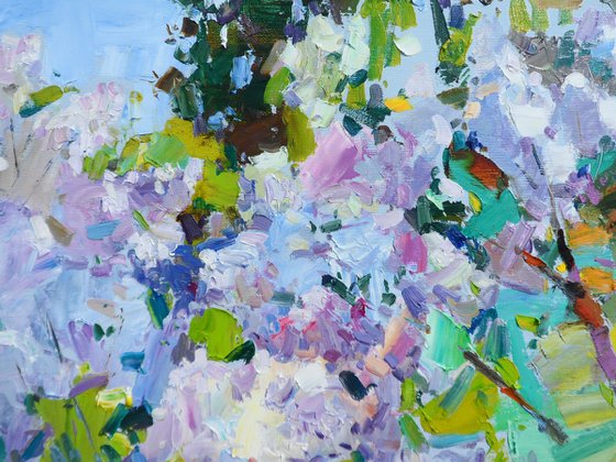 " Lilac "