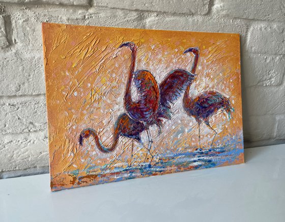 Flamingos