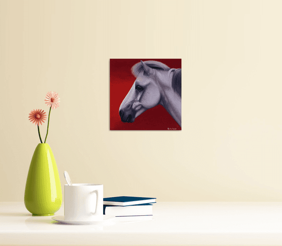 Horse Portrait 63