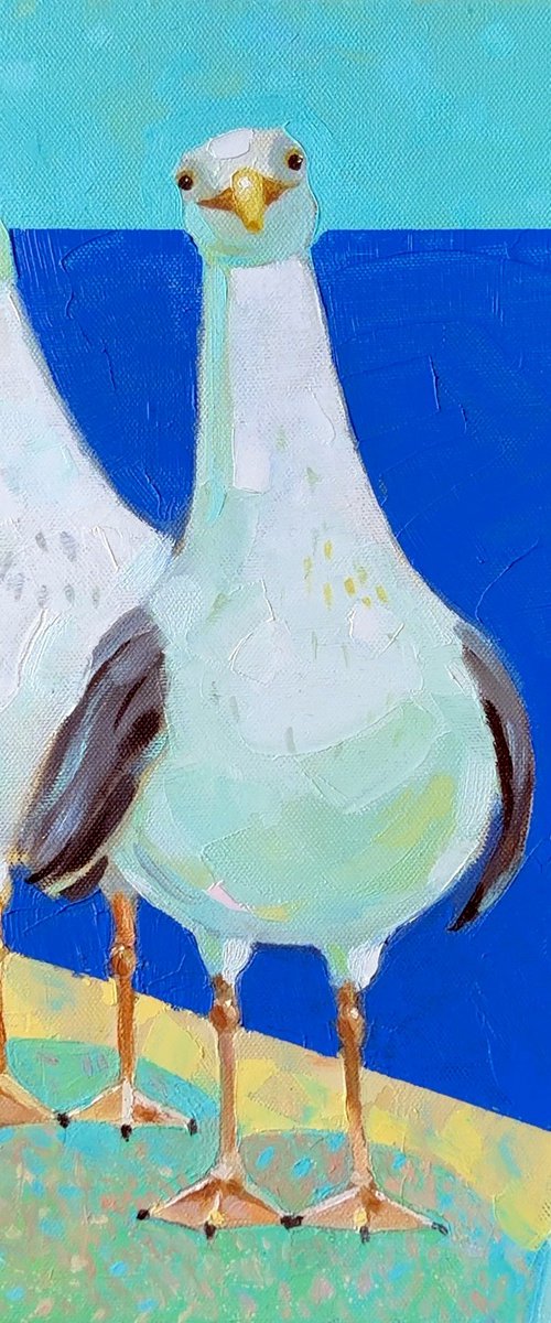 herring gulls by Alexandra Sergeeva