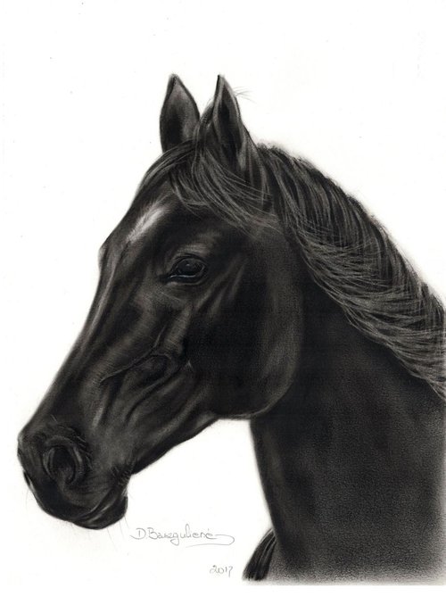 Oil painting ,,  Horse NOIR ,, by Deimante Bruzguliene