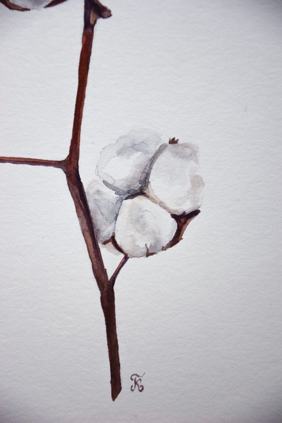 Set of 2 COTTON bolls watercolor paintings, Flowers abstract, Shabby Chic wall art