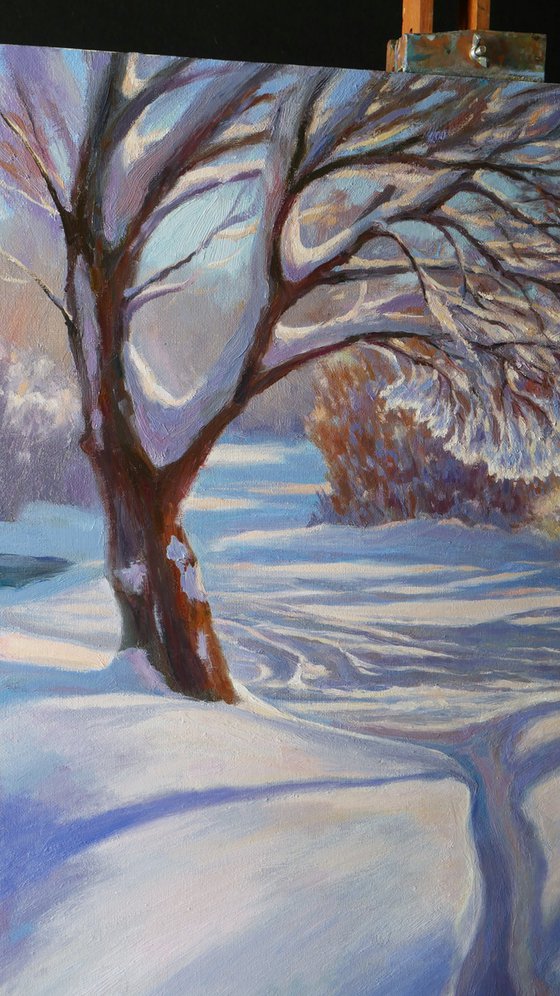 Sunny Lace Of Winter