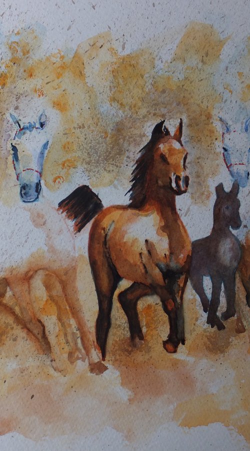 Horses out of the mist by David Harmer