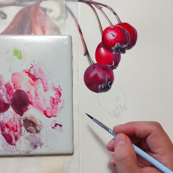 Hawthorn Berries