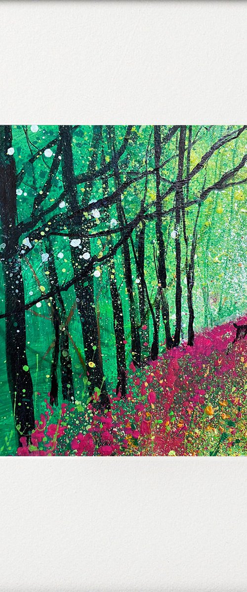 Seasons -   Spring Walk through Foxglove Bank with the dog by Teresa Tanner