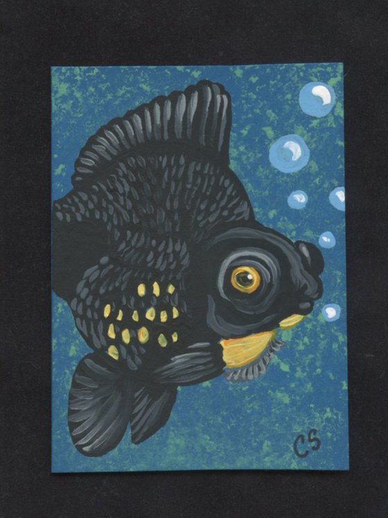 ACEO ATC Original Painting Orange and Black Moor Goldfish Pet Art-Carla Smale