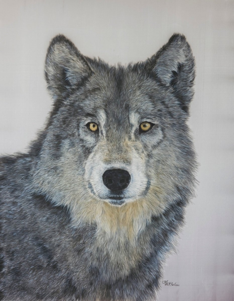 Photorealistic Animal Acrylic Painting By Olga Belova, 20 X 26", Wolf, Original Artwork