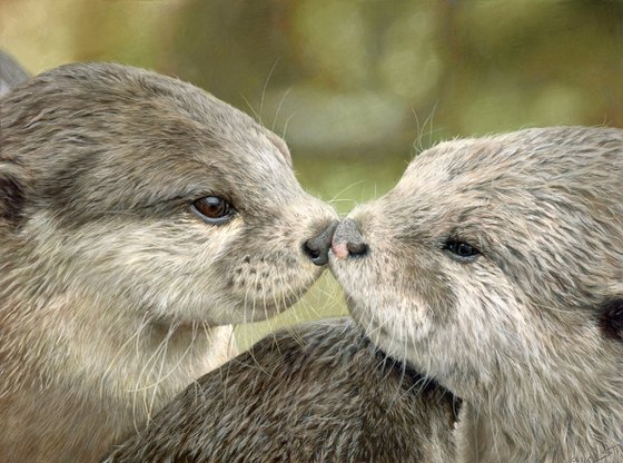 The Otter hald