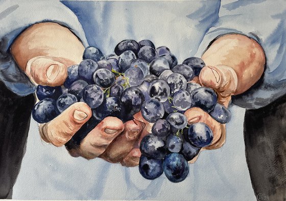 Harvest Bliss: Farmer's Hands with Grapes