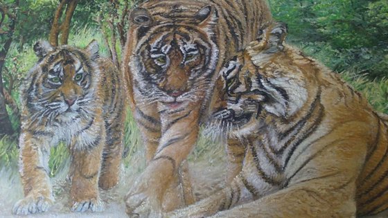 kings of the forest