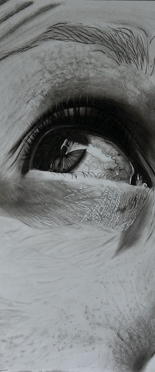 Unspoken by Piera Triolo