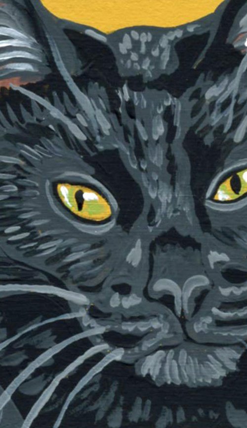 Black Cat by Carla Smale