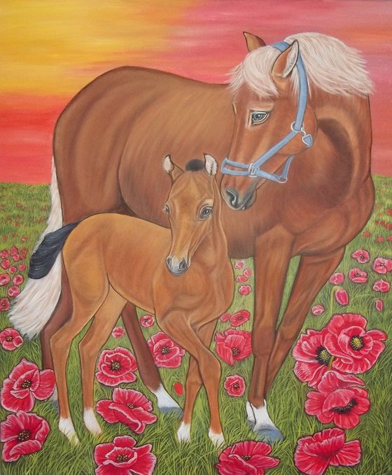 Mare and her Foal on red poppy field