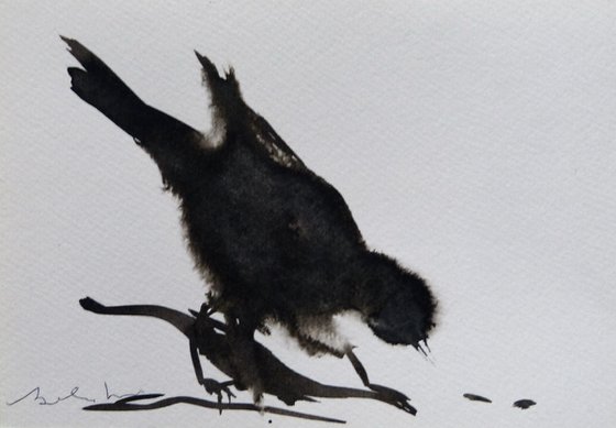 Little bird 20-3