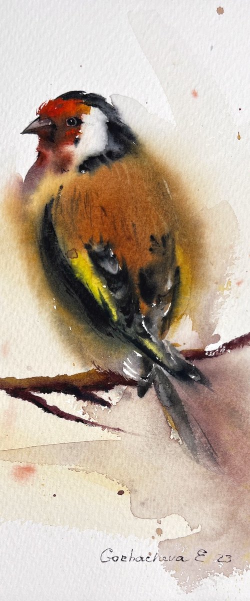 Goldfinch by Eugenia Gorbacheva