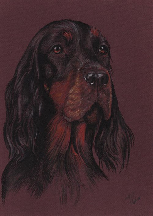 Pastel portrait of Setter Gordon - 21x30 cm by Olga Tsvetkova